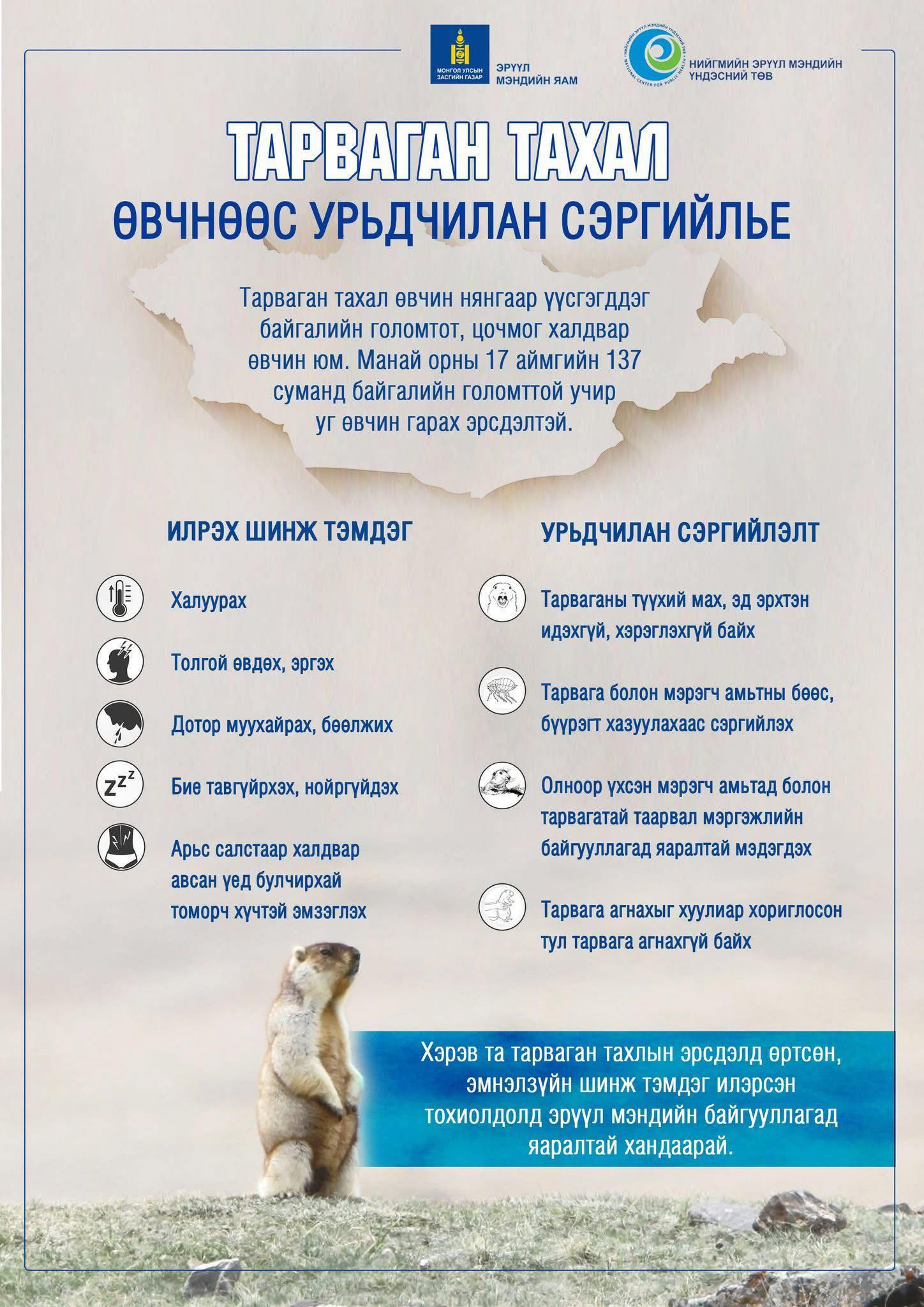 🦫Тарваган тахал өвчнөөс урьдчилан сэргийлье‼️